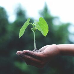 getconfident.nl